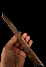 musteriense silex Outil - 17 cm - Ivoire de mammouth et