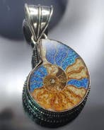 Geen minimumprijs Zeer mooie perfecte ammonieten halve