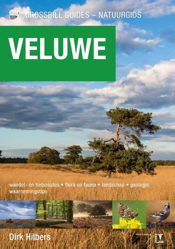 Veluwe | Dirk Hilbers | Nieuw, Verzenden, Nieuw, Dirk Hilbers