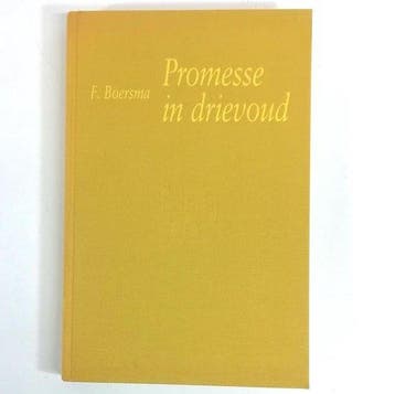 Promesse in drievoud - Boersma, Verzenden