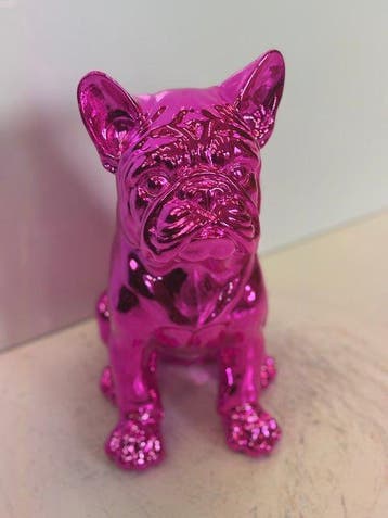 Rob VanMore - The Magenta Dog