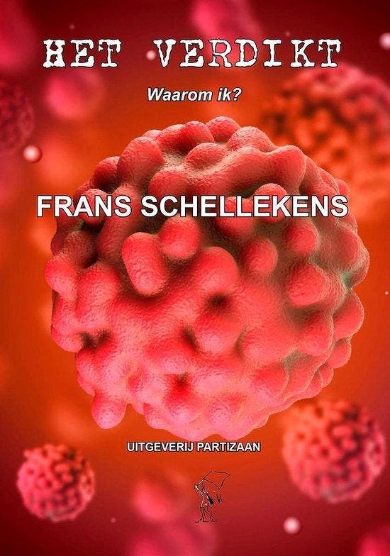 Het verdict 9789464076011 Frans Schellekens, Livres, Romans, Envoi