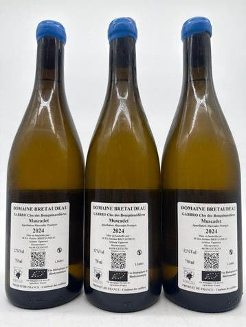 2024 Jérôme Bretaudeau Gabro Clos des Bouquinardières  -