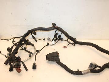 Kabelboom Volkswagen Touran O142121, Nieuw