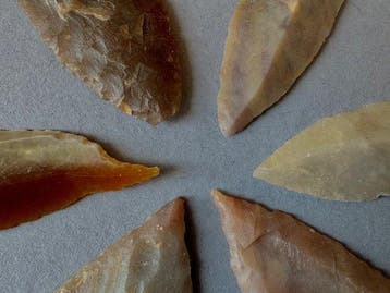 Sahara Silex Pijlpunt (Zonder minimumprijs)