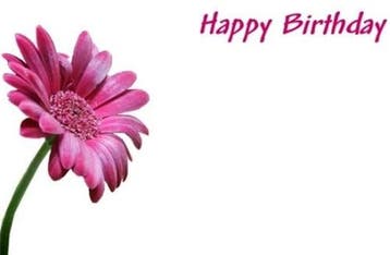 Bloemenkaartjes 50 HAPPY BIRTHDAY - GERBERA Pink Wenskaarten, Hobby en Vrije tijd, Nieuw