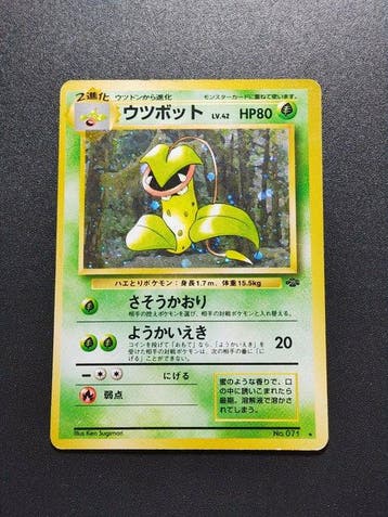 Pokémon - 5 Card - Victreebel Holo - Nidoqueen Holo -, Nieuw