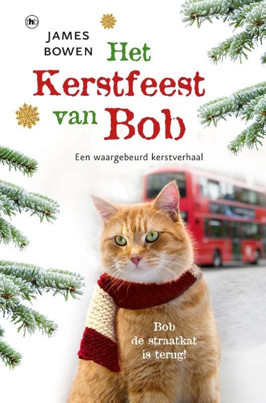 Het kerstfeest van Bob / Bob / 3 9789044345810 James Bowen, Boeken, Romans, Gelezen, Verzenden