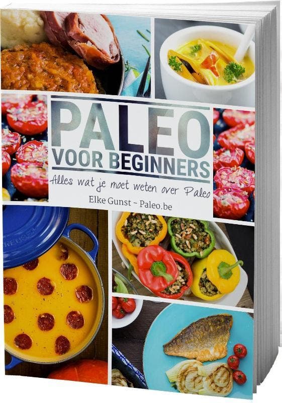 Paleo voor beginners 9789082481204 Elke Gunst, Boeken, Wetenschap, Gelezen, Verzenden
