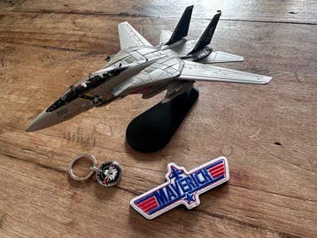 1:100 - Modelvliegtuig - Grumman F14 TomCat - Swing Wing