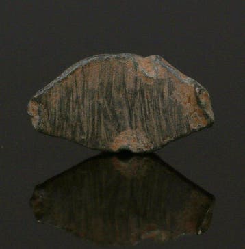 Oud-Romeins Brons Bezelfragment dat een dolfijn afbeeldt.