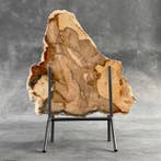Magnifique tranche de bois pétrifié sur un socle