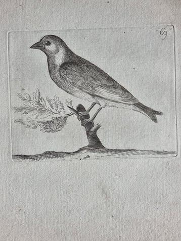 Johann Andreas Naumann (1744 – 1826) - Johann Andreas e, Antiek en Kunst