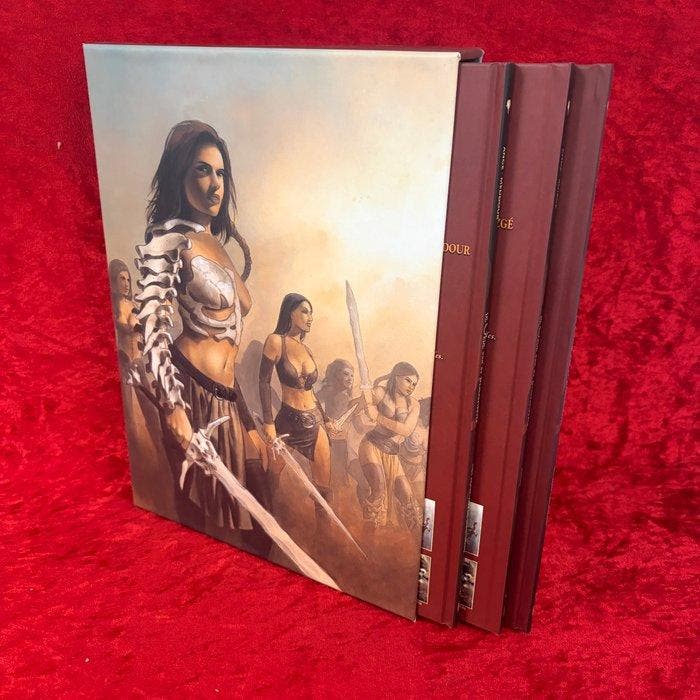 De Orde van de Drakenridders 7, 8 & 9 - HC in box - 1 Album, Livres, BD