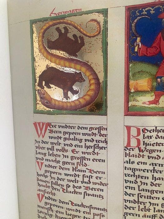 Michele Scoto - Die Macht der Gestirne - Cod. Pal. germ. 832, Antiquités & Art, Antiquités | Livres & Manuscrits