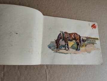 Wilhelm Gotthelf Höhnel (1871–1941) - Sketchbook of 8
