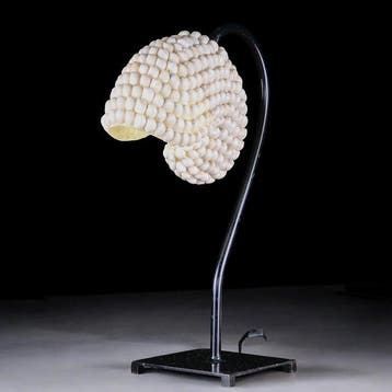Nautilus Tafellamp - Bedekt met natuurlijke schelpen -, Antiek en Kunst