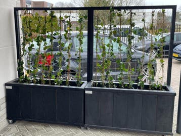 Douglas bloembak met klimrek, Tuin en Terras, Nieuw