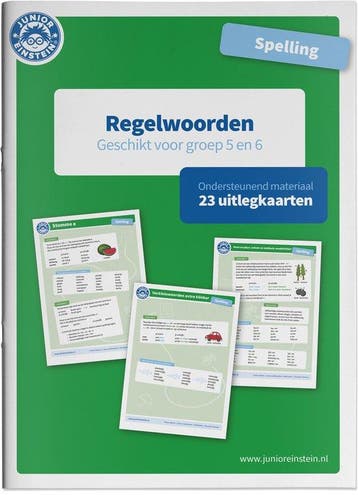 Spelling Ondersteunend Materiaal Regelwoorden groep 5 en 6, Verzenden, Zo goed als nieuw