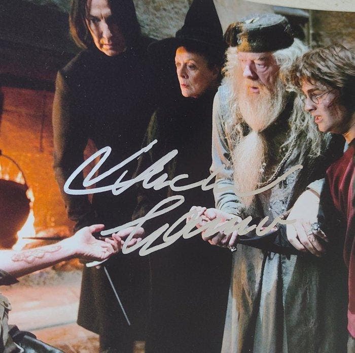 Harry Potter and the Prisoner of Azkaban - Michael Gambon, Verzamelen, Film en Tv