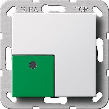 Gira System 55 Bouton-poussoir de commutation blanc pur -, Verzenden