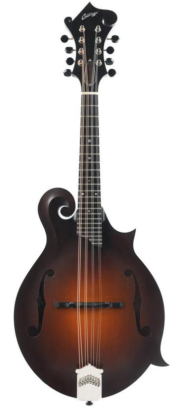 Collings MF F Style Mandolin 2022, Muziek en Instrumenten, Verzenden, Nieuw