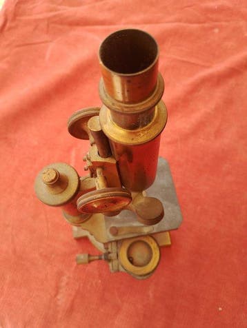 Monocular compound microscope - 1900-2000 - Italie -