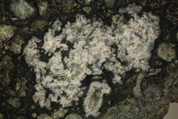 Météorite dAllende Tranche - 49.2 g - (1)