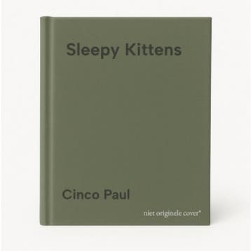 Sleepy Kittens 9780316083812 Cinco Paul, Boeken, Verzenden, Gelezen, Cinco Paul