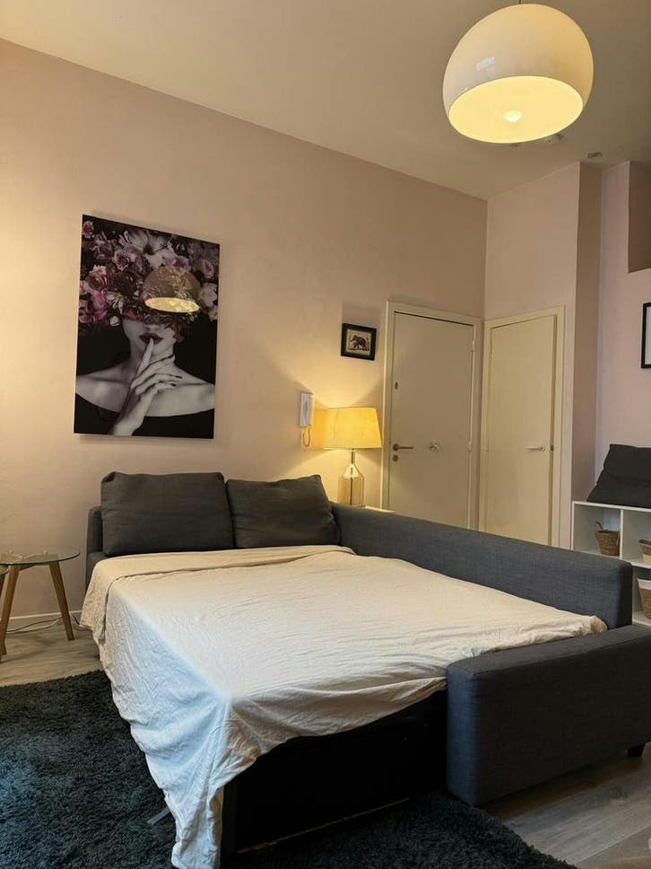 Appartement aan Rue Saint-Michel, Brussels, Immo, Appartements & Studios à louer