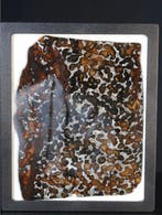 Sericho meteoriet Pallasiet - 102 g - (1), Verzamelen
