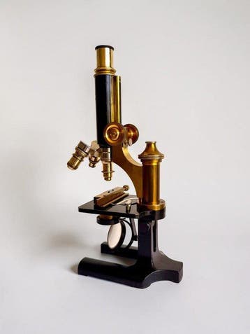 Microscoop - 1900-1910 - Duitsland - Carl Zeiss Jena