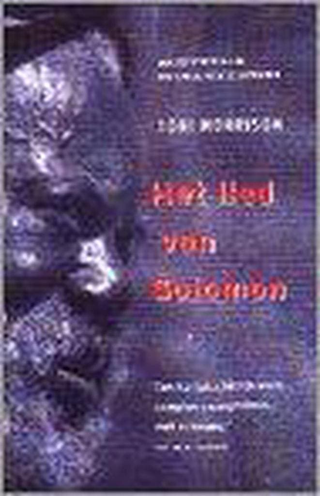 LIED VAN SOLOMON 9789035118997 Toni Morrison, Boeken, Romans, Gelezen, Verzenden
