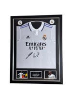 Real Madrid - Europese voetbal competitie - Zinedine Zidane, Nieuw