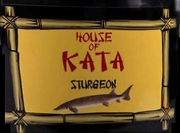 House of Kata Sturgeon 2,5 liter steurvoer (Koivoer), Verzenden, Nieuw, Overige typen