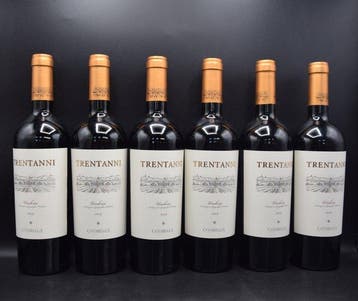 2019 Cotarella, Rosso Trentanni - Umbrië - 6 Flessen (0.75, Nieuw