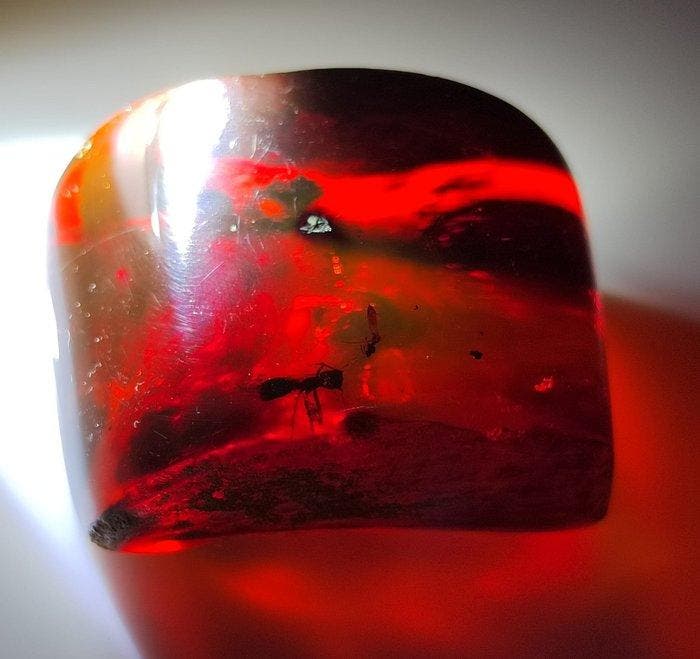 Dominican Amber!! Hoogwaardige kwaliteit - Gratis, Verzamelen, Mineralen en Fossielen