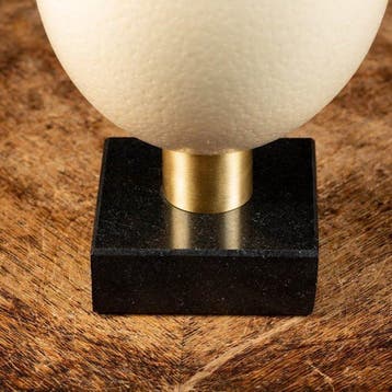 Œuf dautruche africain - socle sur mesure en marbre -