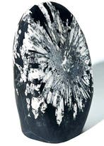 Pierre unique Chrysanthemum Stone - Œuvre dart naturelle -, Verzamelen