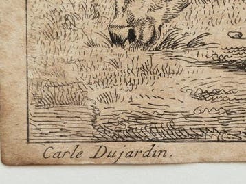 Du Jardin Karel (1622 Ca./ 1678) - Grazing Calf
