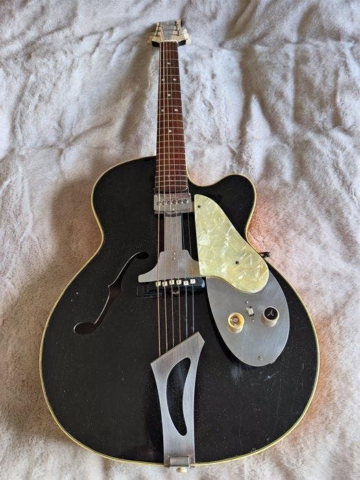 Fasan - - Archtopgitaar, Musique & Instruments, Instruments à corde | Guitares | Acoustiques