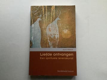 Liefde ontvangen 9789058263506 Geert Faseur, Verzenden, Geert Faseur