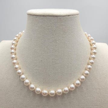 Halsketting Zilver Parel - Akoya 9,0 mm 17 inch, Nieuw