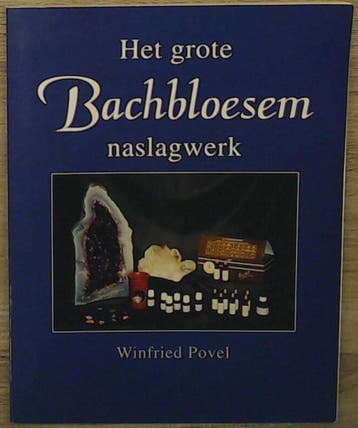 GROTE BACHBLOESEM NASLAGWERK 9789080251618 W. Povel, Boeken, Verzenden, Zo goed als nieuw, W. Povel