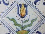 Tegel - Gekleurde Tulp in gekarteld dubbel kwadraat -
