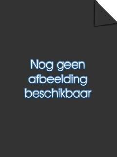 De hand van Fatima / Het vijfde evangelie / 1 9789085520627, Verzenden, Zo goed als nieuw, Istin