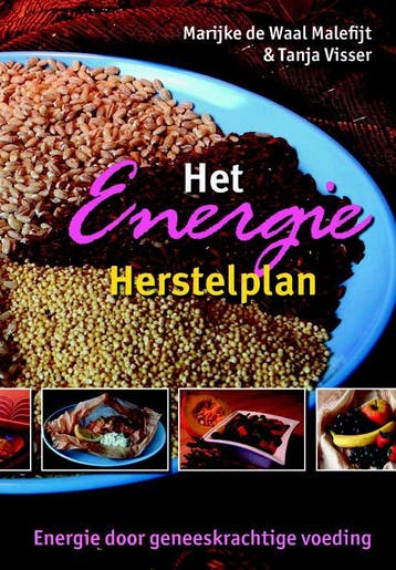 Het energie herstelplan 9789063787691 T. Visser, Verzenden, T. Visser