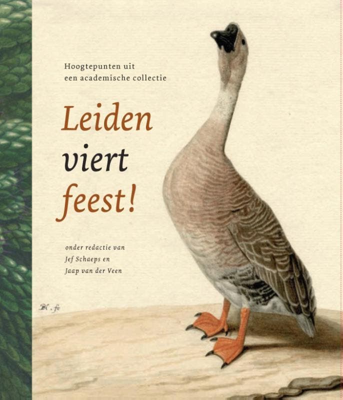 Leiden viert feest! 9789087282202, Livres, Art & Culture | Arts plastiques, Envoi