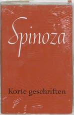 Korte geschriften / Werken van B. de Spinoza 9789028414648, Boeken, Verzenden, Gelezen, Guido Joost van Suchtelen