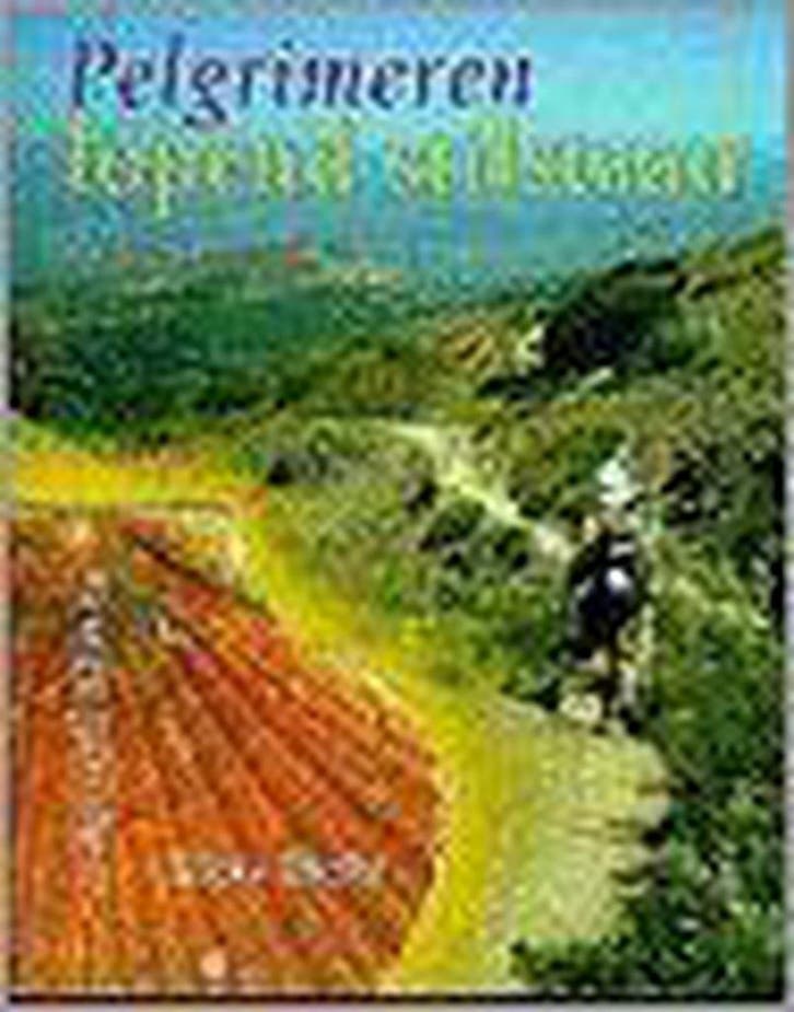 Pelgrimeren,Lopend stilstaan 9789073798366 R. Rieter, Boeken, Esoterie en Spiritualiteit, Gelezen, Verzenden